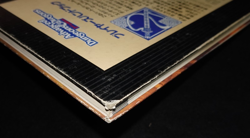 AD&D新和版 アドバンスト ダンジョンズ＆ドラゴンズ 2nd Edition（第二