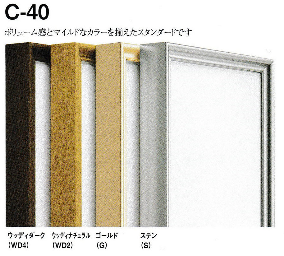 油彩画用キャンバス 仮枠 アルミフレームシルバー F100号用 額 100号