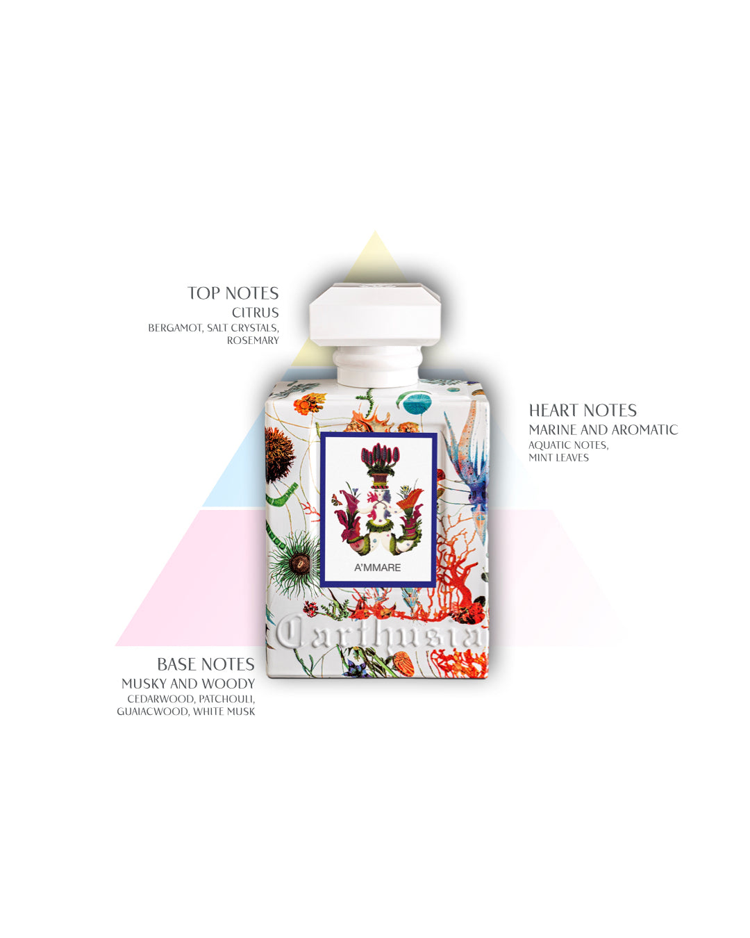 CARTHUSIA〈カルトゥージア〉 アマーレ オードパルファム 50ml