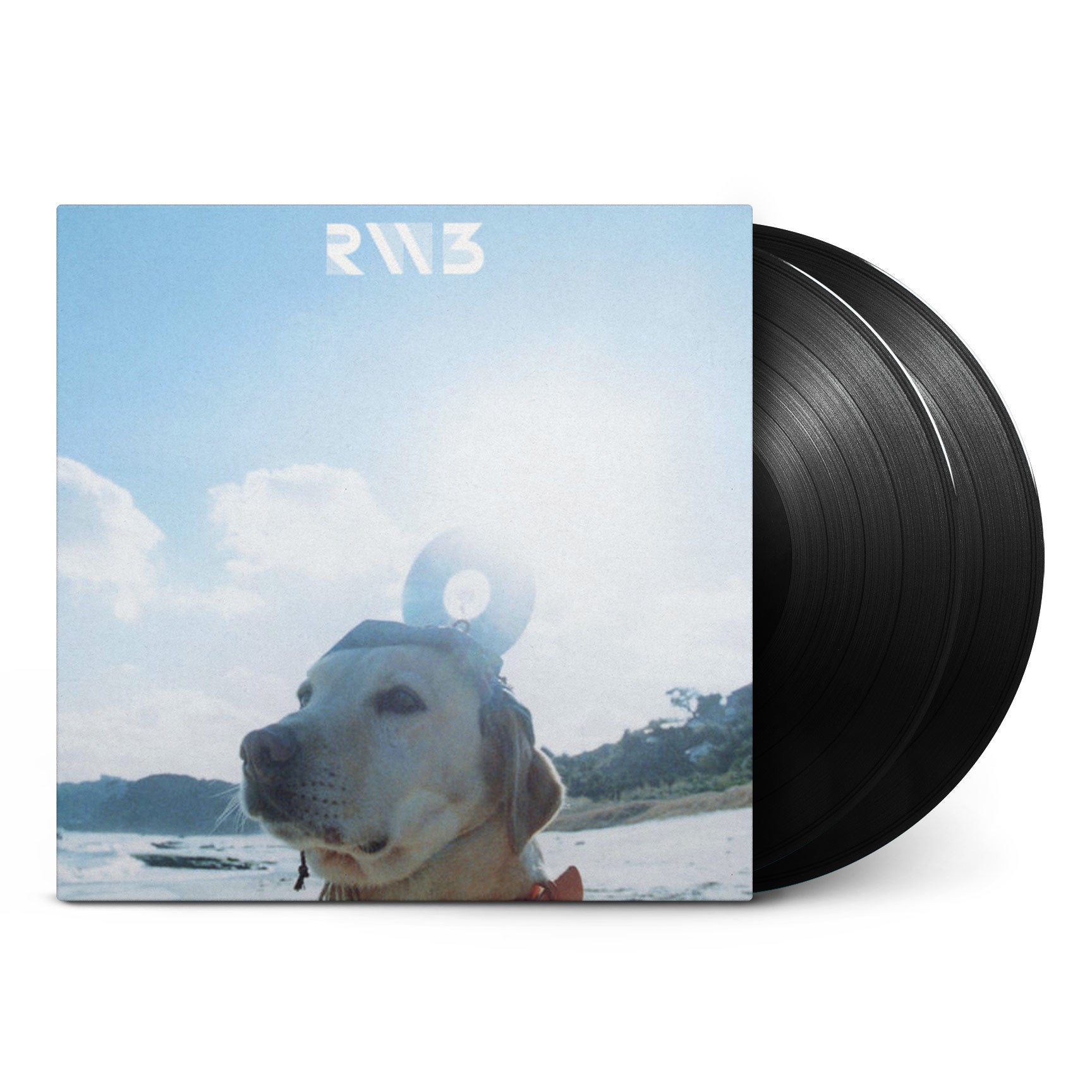 Radwimps 3: Mujintō ni Motte Ikiwasureta Ichimai (2XLP