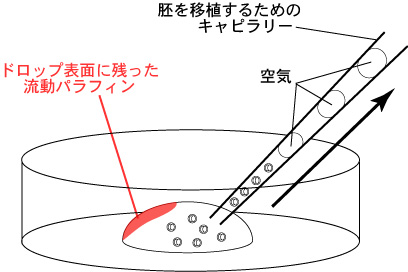 マウス生殖工学マニュアル