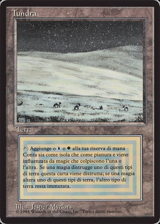 Tundra (Tundra) · Foreign Black Border (FBB) #289 · Scryfall Magic
