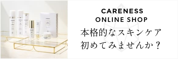 ケアネス トリプルリセットスリム｜PRODUCTS｜CARENESS（ケアネス
