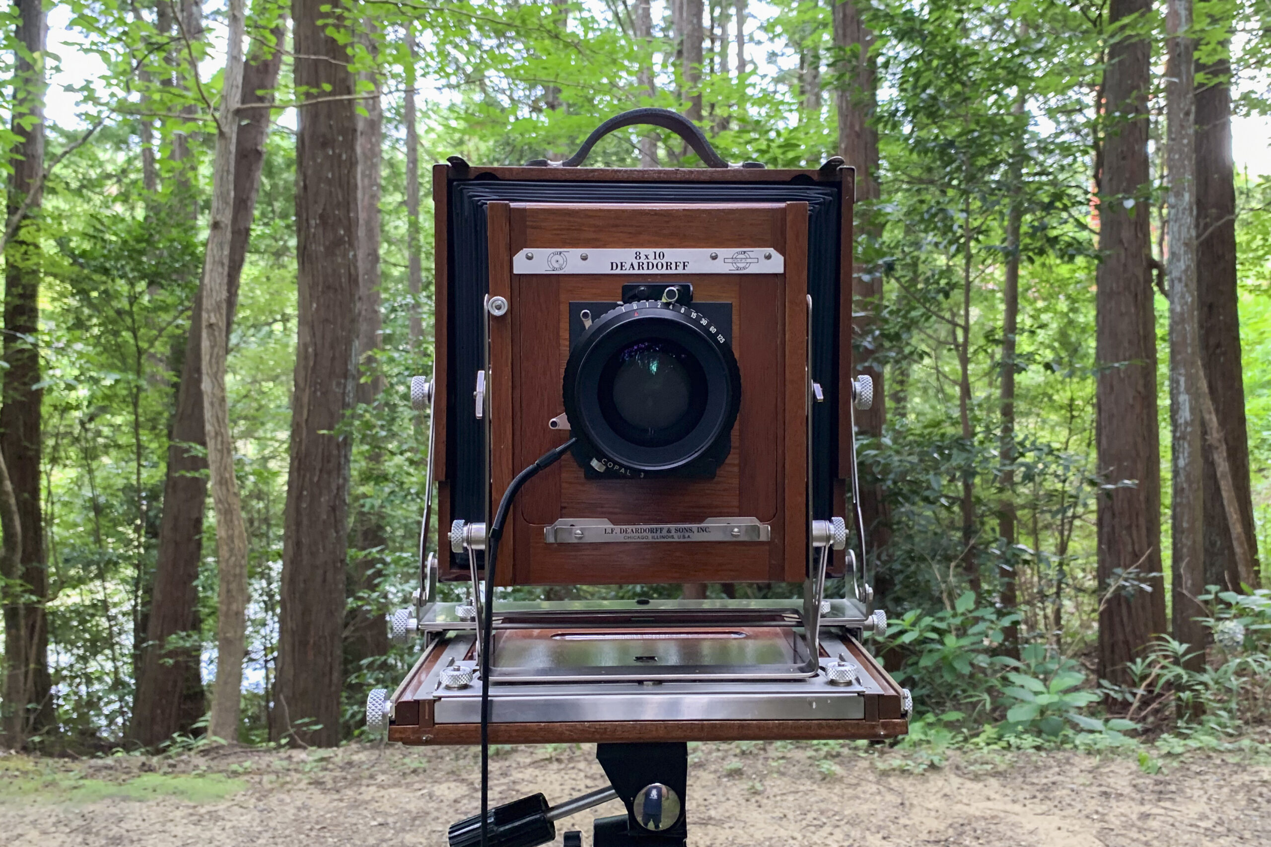 遂に入手したDeardorff 8x10を持って試し撮りしてきた - カメラを持っ