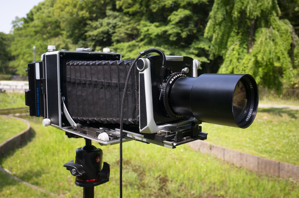 リンホフの大判カメラも持って寺ヶ池公園で風景撮影してきた - カメラ