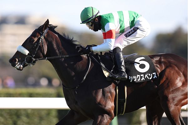 勝利馬一覧｜キャロットクラブ -CARROT CLUB-