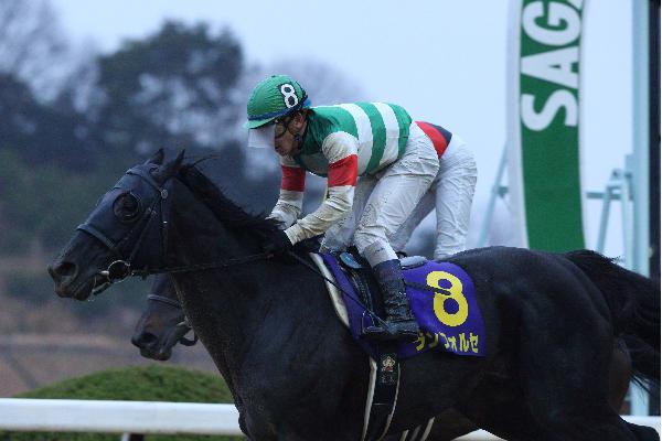 キャロットクラブ -CARROT CLUB-