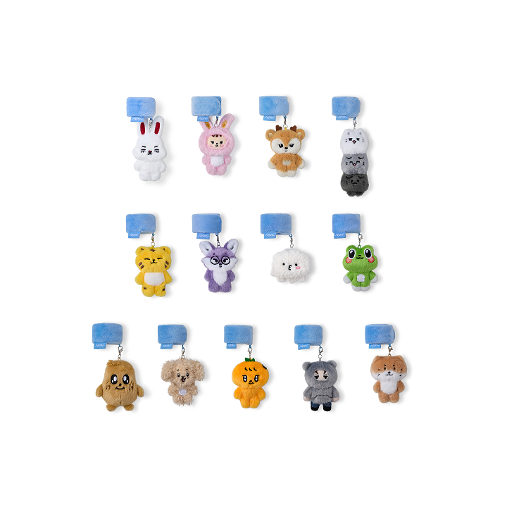 SEVENTEEN | MINITEEN Deco Band