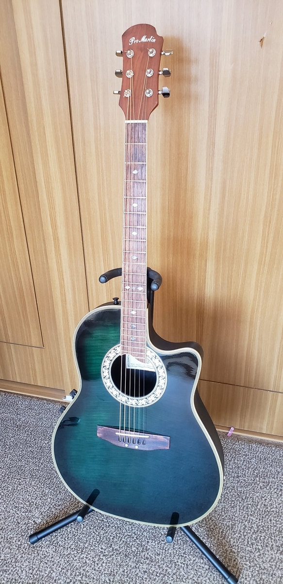 Pro Martin EA350BLS - turugi-punkの日記