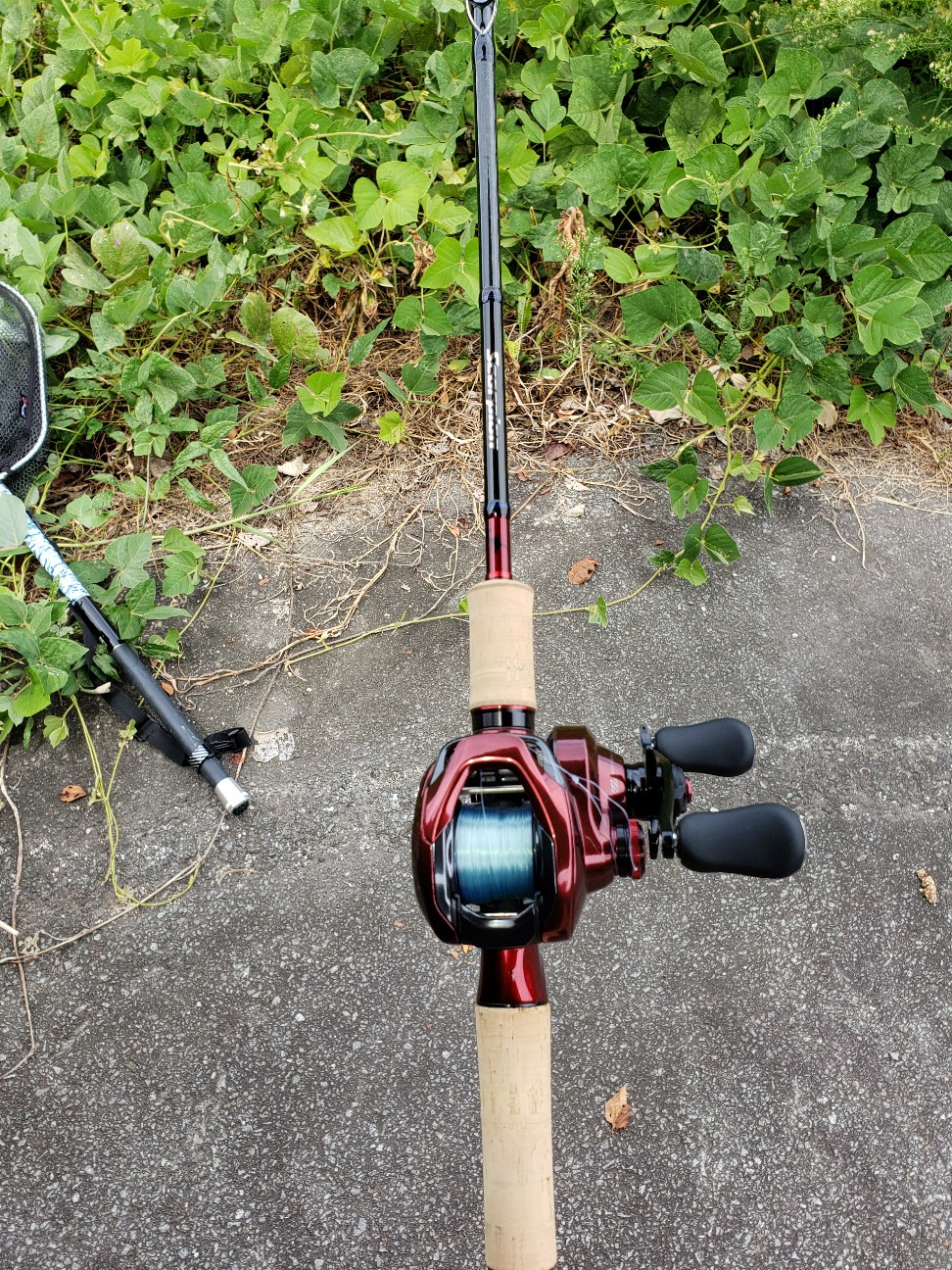 驚】スコーピオン15101F‐5で釣れたのは・・・ - タッツーのバス