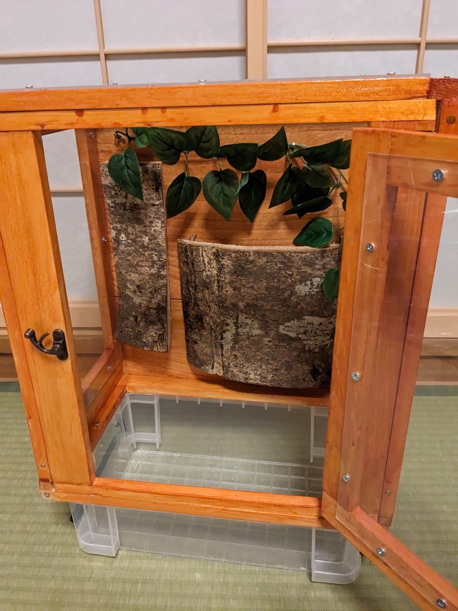 カブトムシの飼育ケースを自作してみる その8 ～完成 - 昆虫好きIT