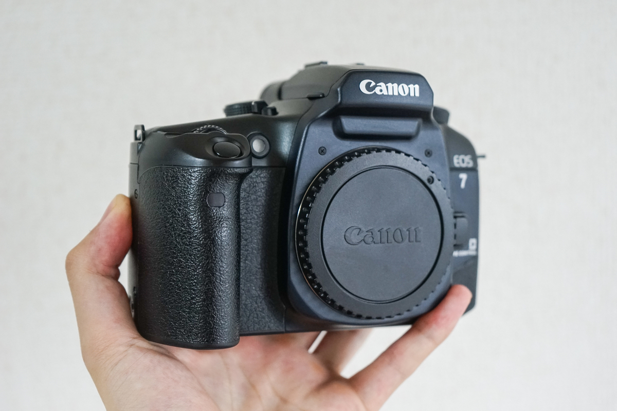 作例あり】万人におすすめできるcanon EOS7 フィルムカメラの紹介