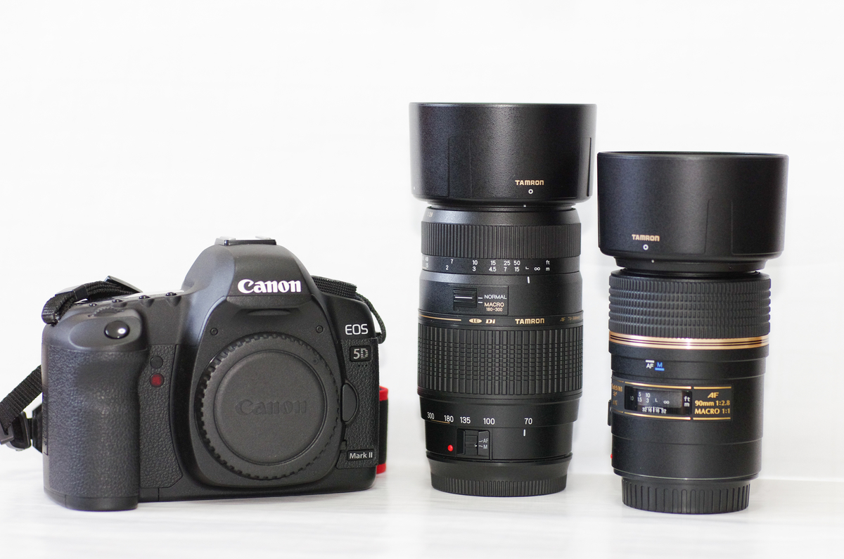 10. デジタル一眼 Canon EOS 5D MarkⅡ (フルサイズ機) - 「ボケフォト