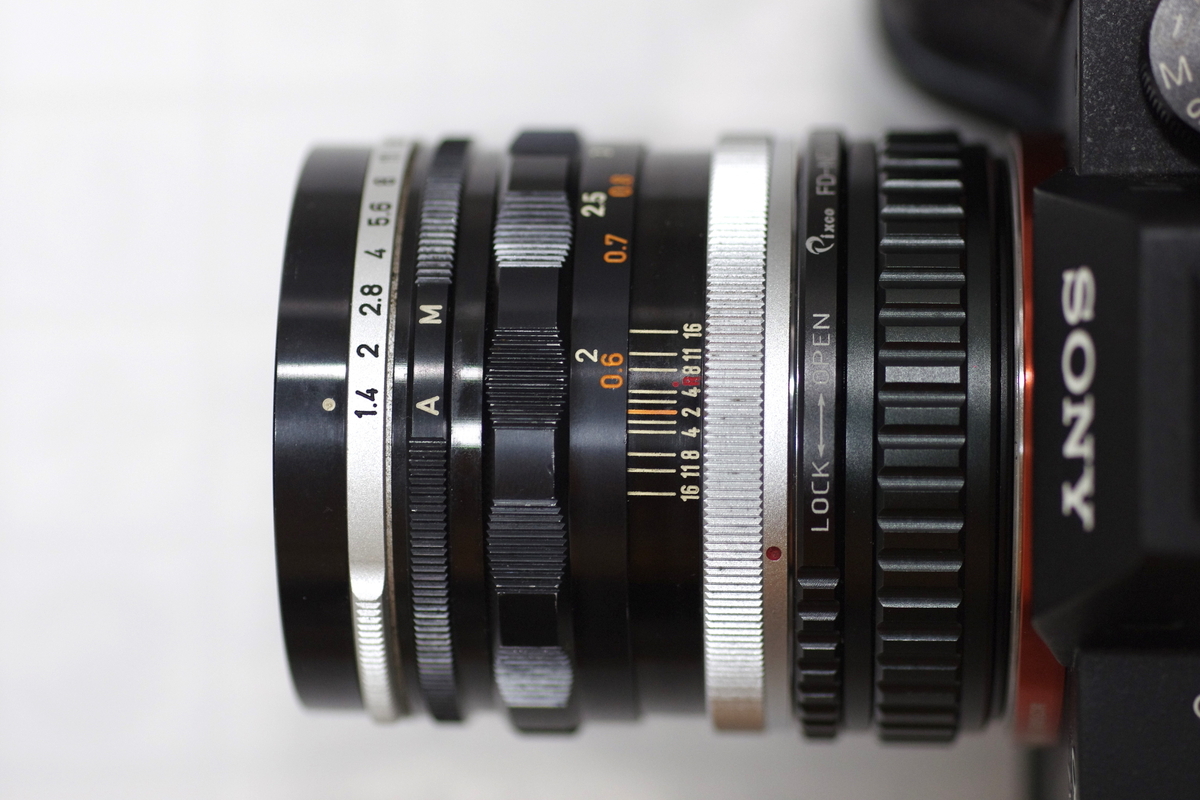 36. 「CANON LENS FL 50mm f1.4 Ⅰ型」 ボケフォト的 作例