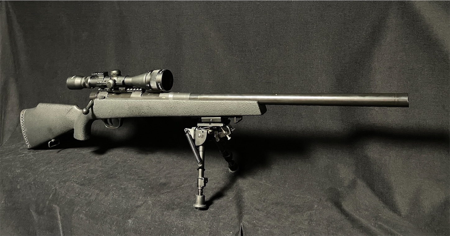 S2S TSR-D デザイラス スナイパー カスタム 改修品 10禁 S2S TSR-D