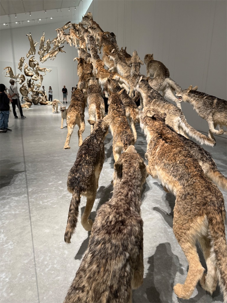 戦え絶滅動物PART2 宮川アジ ドードー マンモス オオカミ アシカ