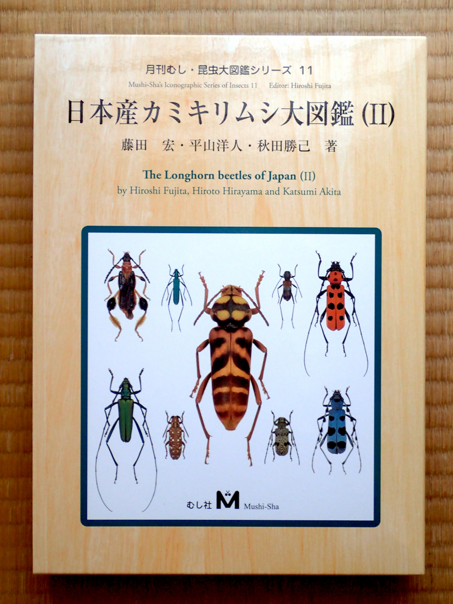 日本産カミキリムシ大図鑑(II) - 東京昆虫館のブログ