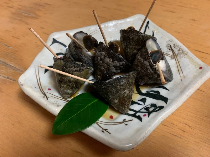 2022年の貝を振り返る しったか貝 チャンバラ貝 マテ貝 姫さざえ