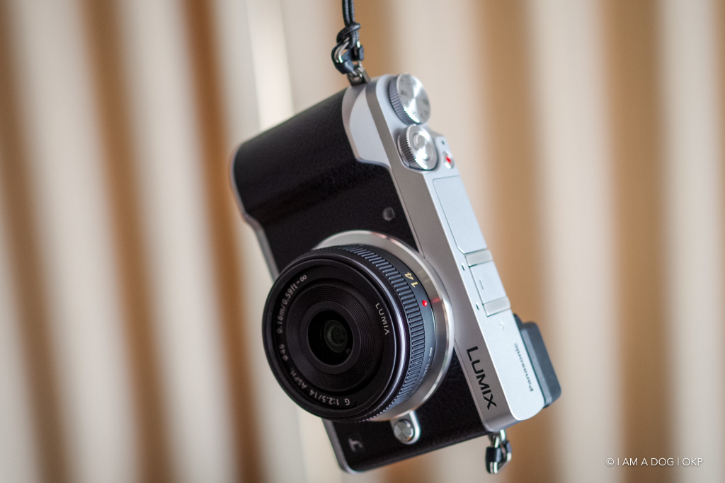 最高のスナップレンズ！？ Panasonic LEICA DG SUMMILUX 15mm / F1.7