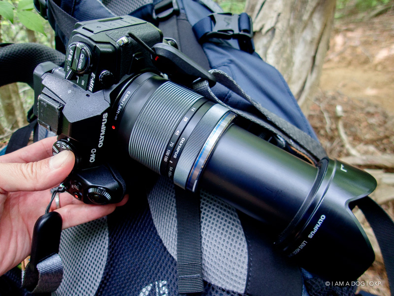 軽量＆防塵防滴な高倍率ズームOLYMPUS 14-150mm F4.0-5.6 IIを導入