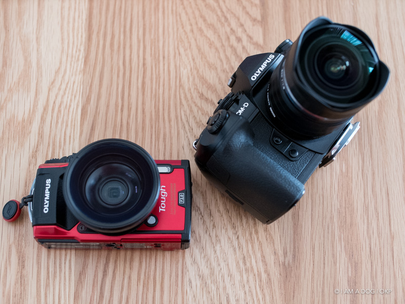 防水カメラOLYMPUS TG-5で広角が撮れるようになるフィッシュアイ