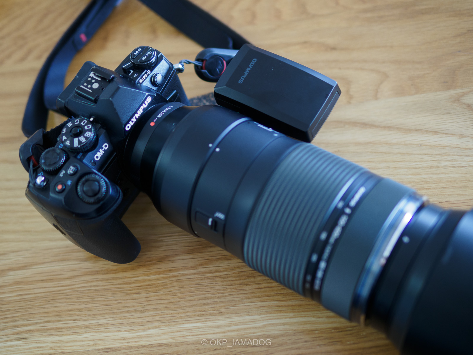 OM-1の性能に頼りすぎになってないか、8年前のミラーレスカメラで