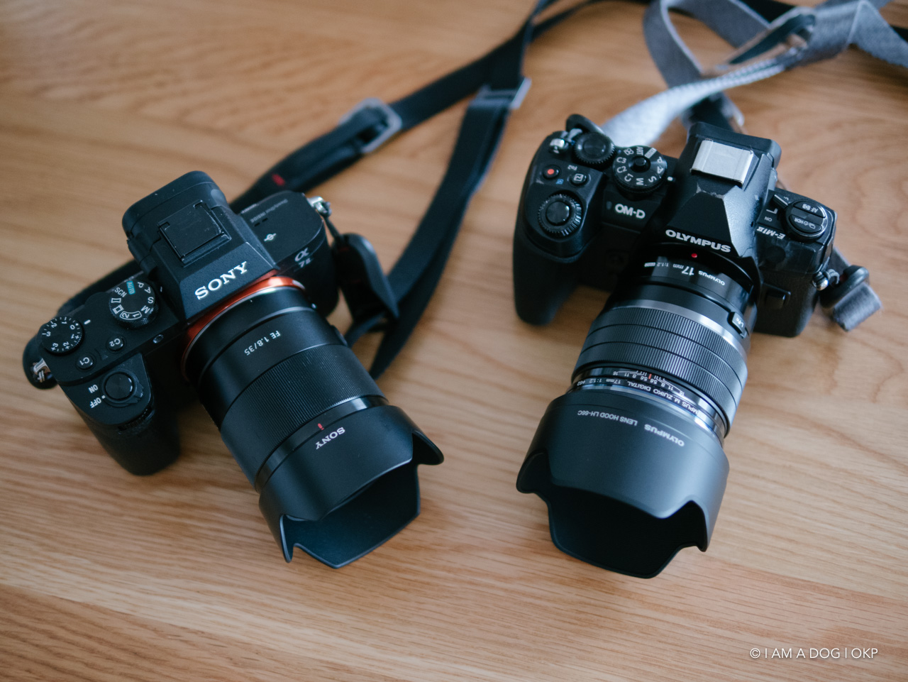 雨上がりの府中郷土の森博物館で「OLYMPUS M.ZUIKO 17mm F1.2 PRO」と