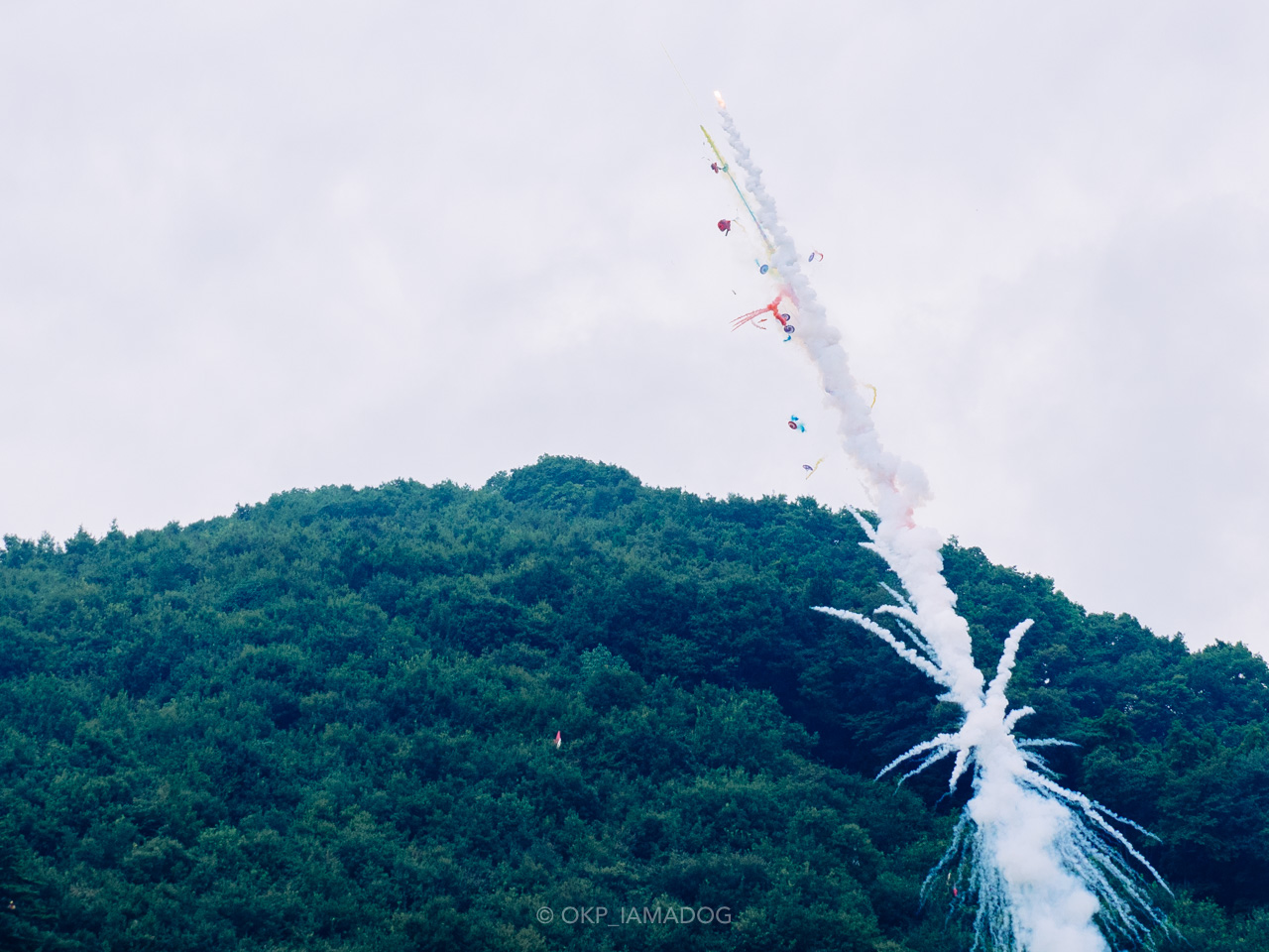 人々の思いを乗せて打ち上がる農民ロケット！ 秩父の「龍勢祭り」を見