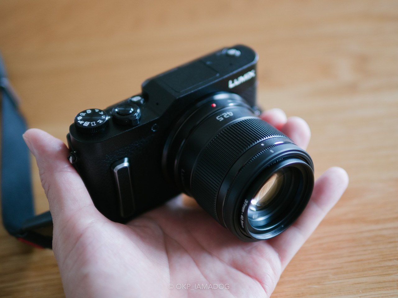 パナソニック LUMIX G 42.5mm / F1.7 ASPH. / POWER O.I.S.を買って