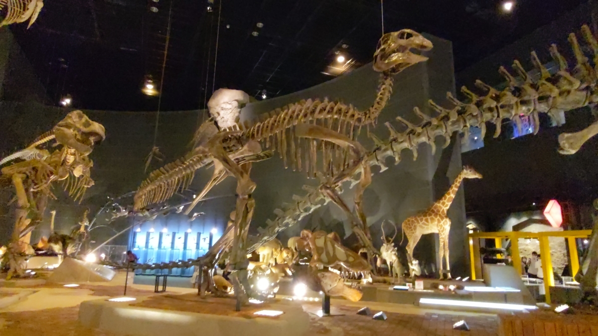 古生物紹介】エドモントサウルス(Edmontosaurus) - Prehistoriclifeman