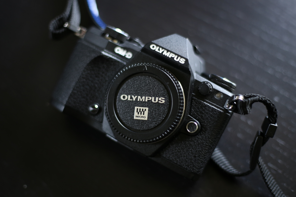 機材レビュー】 オリンパス OM-D E-M5MarkⅡと超広角レンズM.ZUIKO