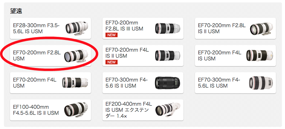2世代前のCanon EF 70-200mm F2.8 L USMのズーム機能を比べてみました