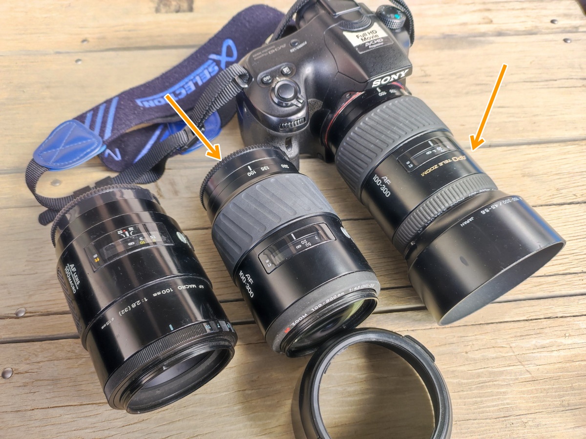 写り・解像感の違いは？ MINOLTA 100-300mm APO TELE ZOOM 撮り比べ