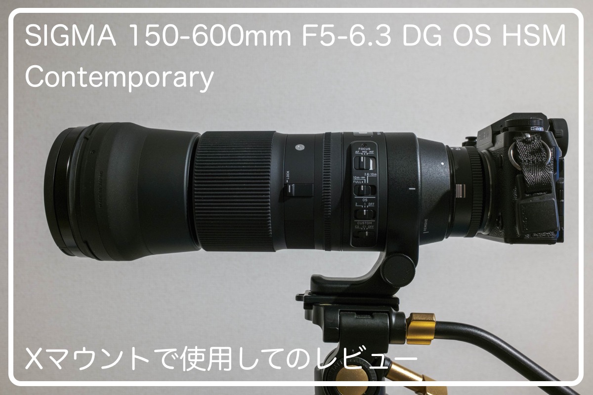 SIGMA 150-600mm F5-6.3 DG OS HSM｜Contemporary をXマウントで使って