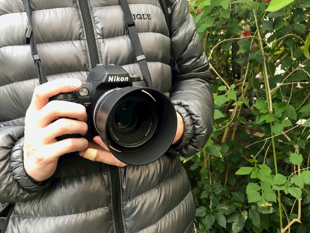 NIKON F80SとAF-S NIKKOR 50mm f/1.8Gで夢の島熱帯植物園を撮ってきた