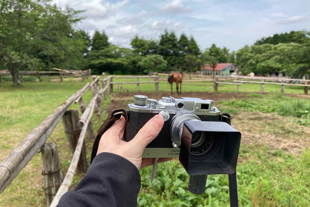 Canon IVSbとSerenar 50mm f1.9で秋元牧場と小湊鐵道の里見駅周辺を