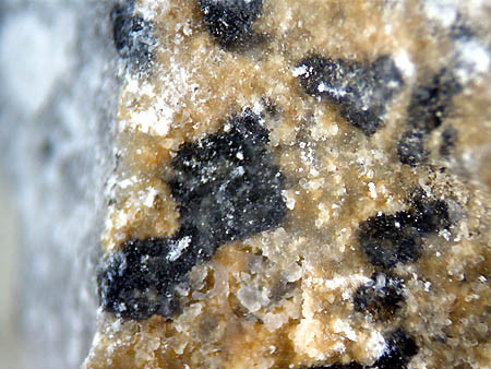 布賀産クルチャトブ石の発表 - 鉱術は石客商売なり