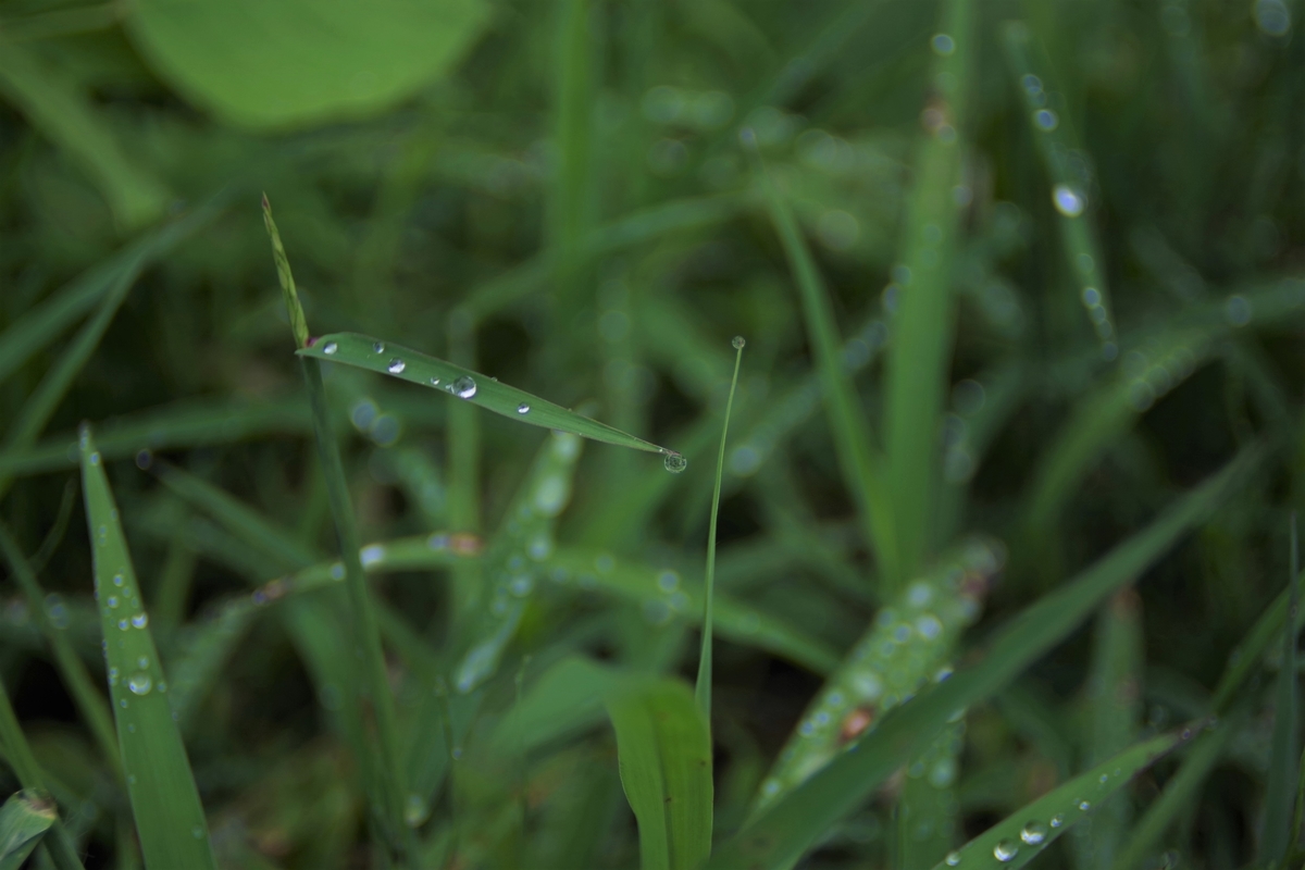 状態要確認 作例付き SUN 24mm f2.8 管mpr 状態要確認 作例付き SUN