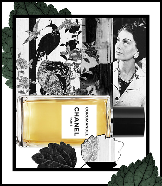 シャネル：コロマンデル - フレグランスアッセンブル