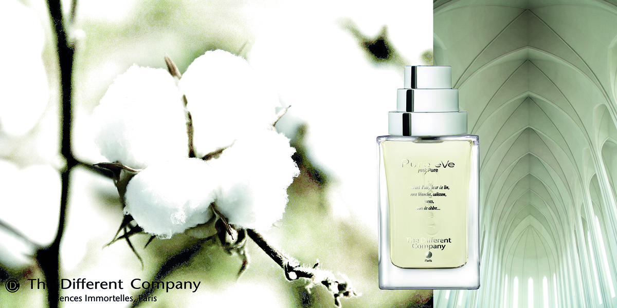 ザ ディファレント カンパニー：ピュア イヴ - フレグランスアッセンブル