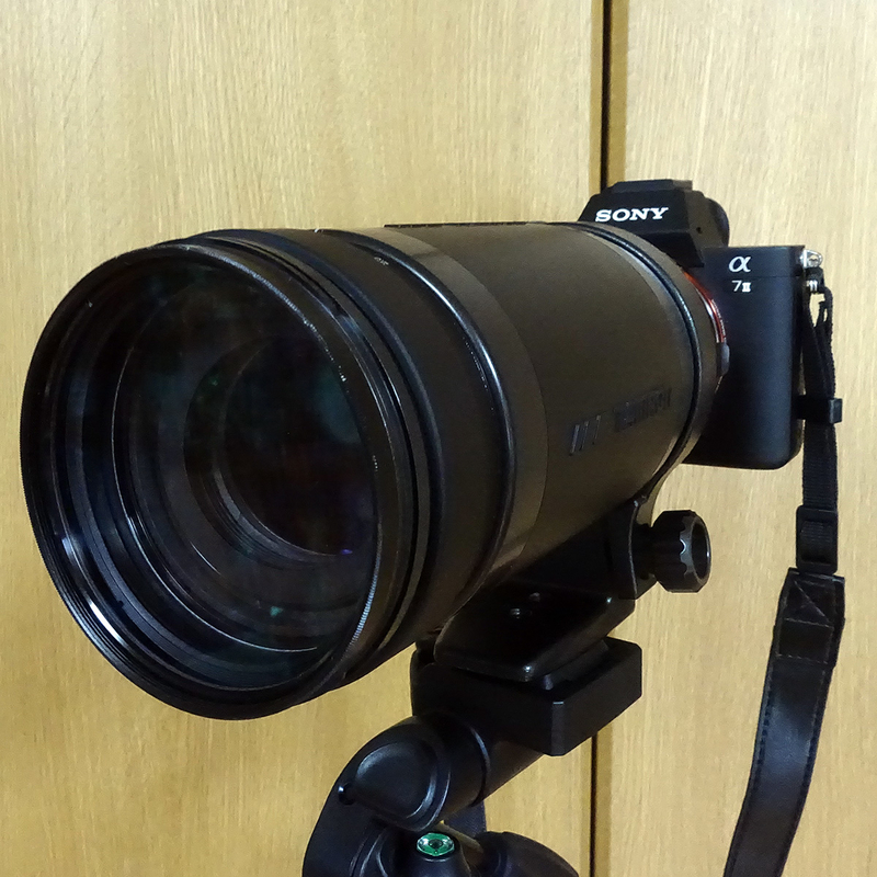 α7Ⅱ＋TAMRON 200-400mm - フォト・ディレッタント