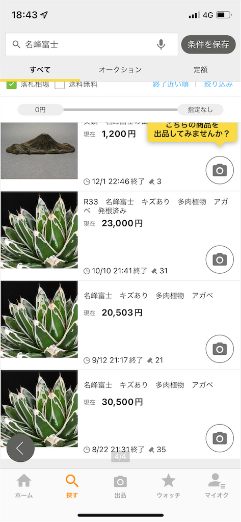 アガベ】ロウルサンコ産名峰富士が来た！【笹の雪】 - だいちゃんの