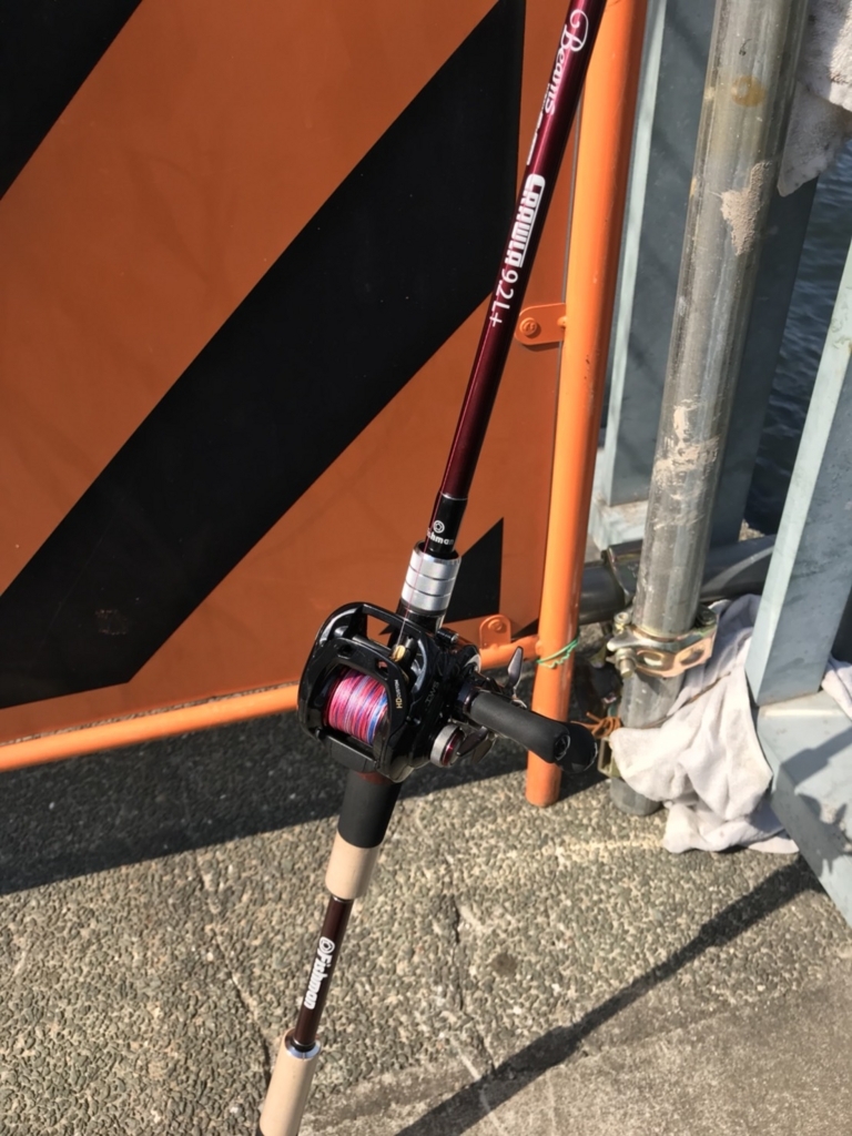 やっちまった。Beams CRAWLA 9.2L+を買っちまった - シーバスと仮説検証