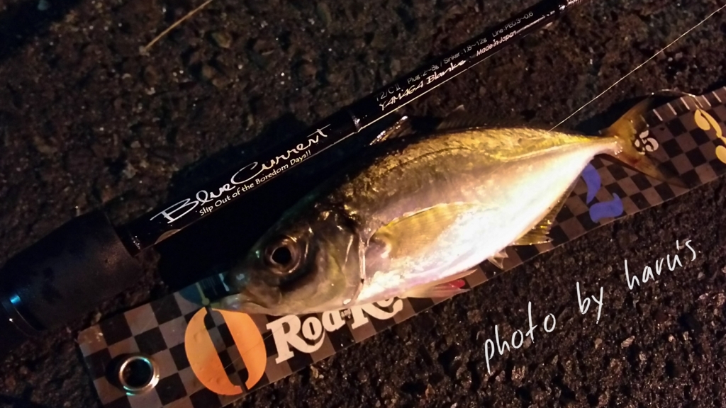 ブルーカレント72cⅡインプレ ジグ単やキャロでの使用感を68Ⅱと74Ⅱと