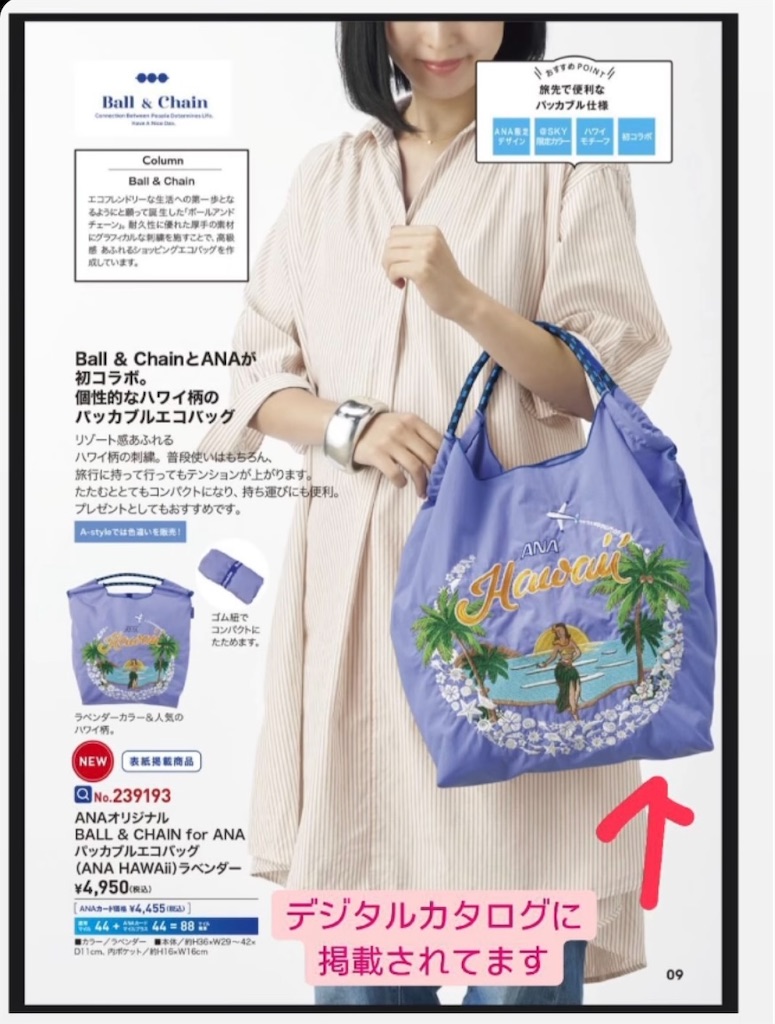 新品】BALL & CHAIN for ANA パッカブルエコバッグL 飛行機 新品】BALL