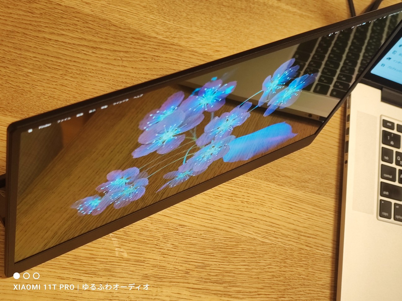 レビュー：爆安18900円 有機ELモバイルモニター VisionOwl L-133 13.3