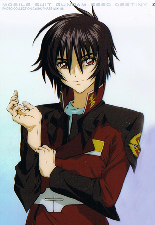 シン・アスカ - バトルロイヤルR＋α ファンフィクション(二次創作など