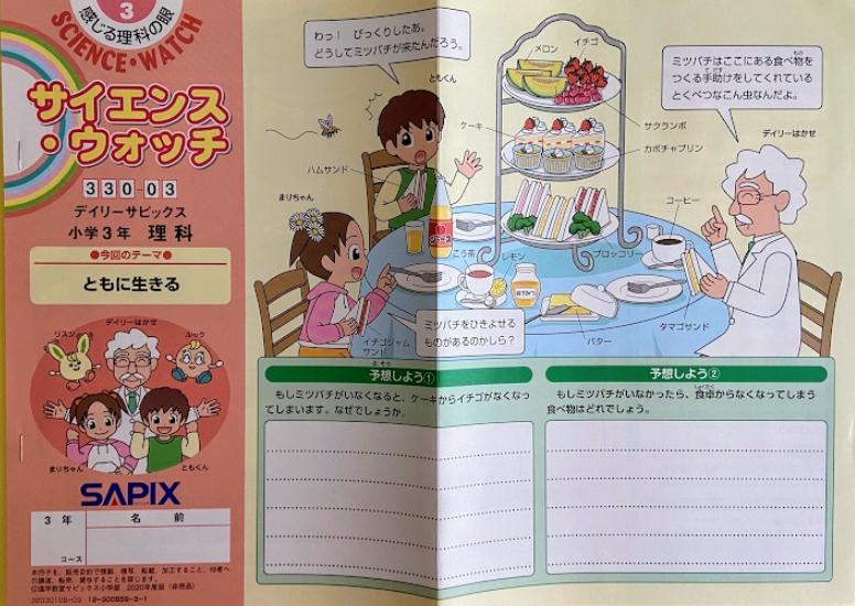 サピックス教材3年生と2年生の比較及び1年間を振り返り感じたこと