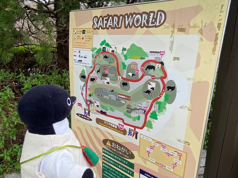 ちびすけ探検隊、白浜で大発見です！サイコロきっぷで白浜旅(その2