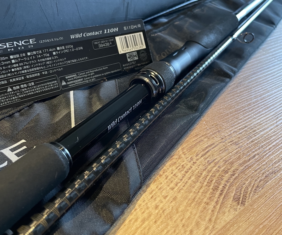 EXSENCE GENOS s110h/r のインプレ - ft ブログ